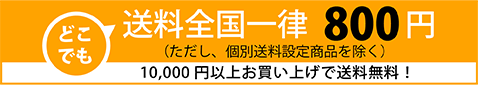 送料一律800円